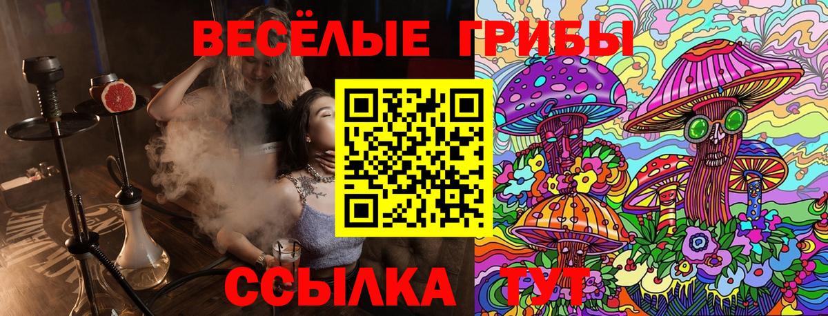 Псилоцибиновые грибы MAGIC MUSHROOMS  Вход с VPN  наркота  Якутск 
